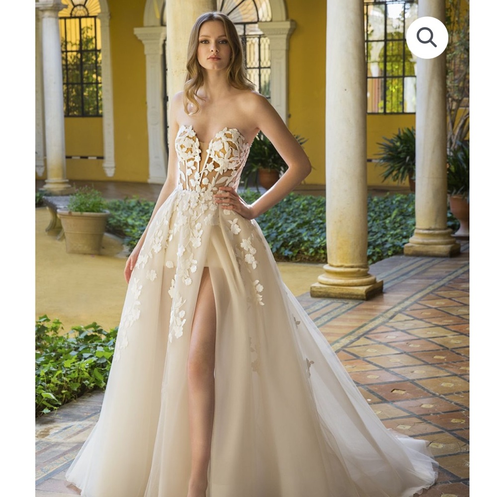 Elegant Ivory bridal dress with veil